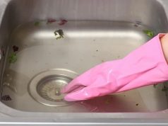 These everyday items in your home contain the most bacteria